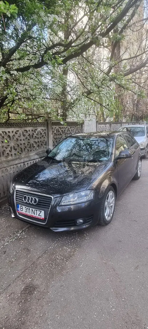 Audi A3 8P [2003 - 2013] 2010