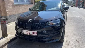 Skoda Karoq 2.0 TDI SCR 4x4 DSG Sportline 2019