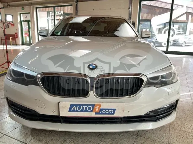 BMW 5 Series G30/G31 [2017 - Prezent] 520d Aut. 2019