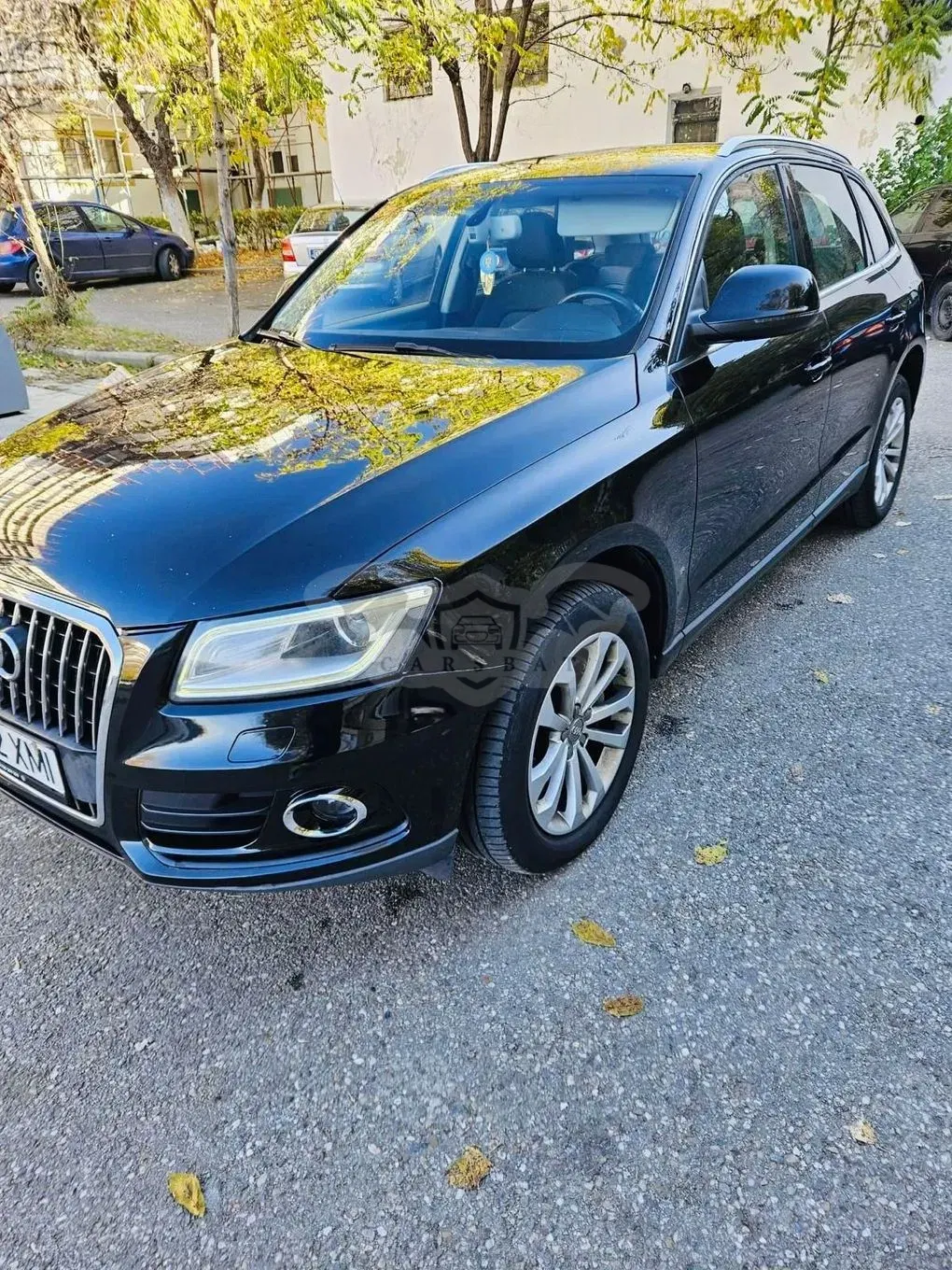Audi Q5 2013