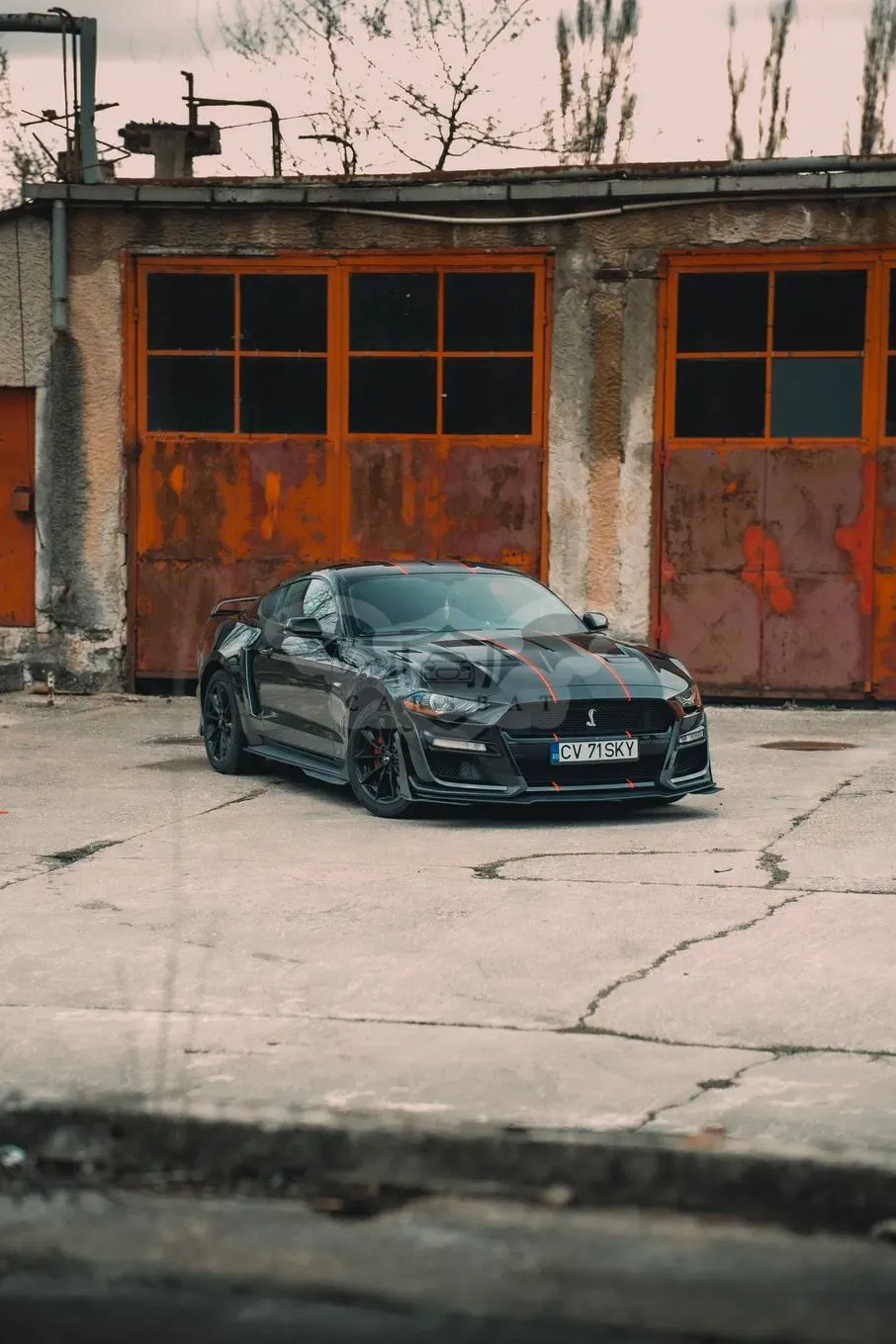 Ford Mustang 2019
