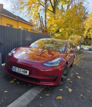 Tesla Model 3 2019