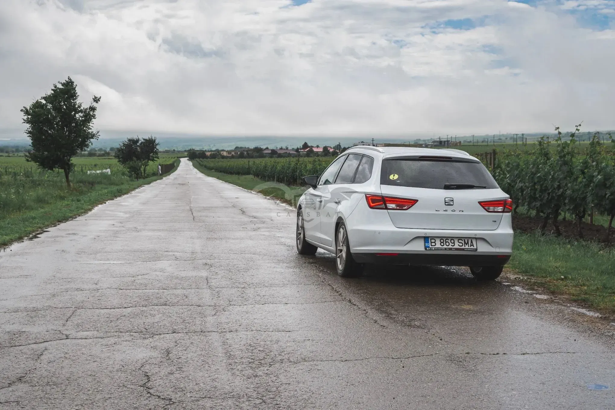Seat Leon III [2012 - 2020] 1.6 TDI DPF Start&Stop Style 2015