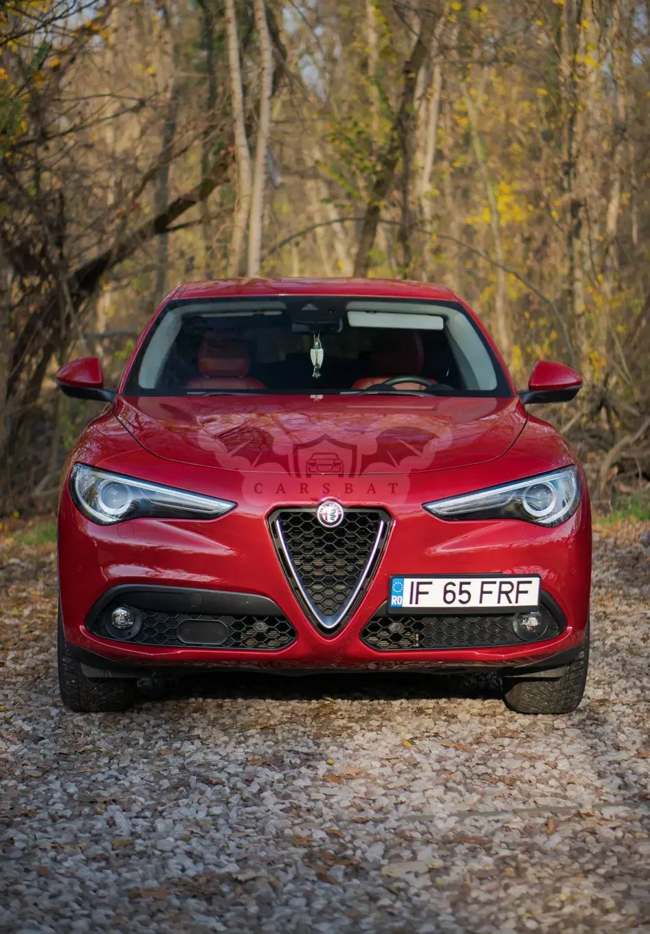Alfa Romeo Stelvio 2.2 16V AT8-Q4 Executive 2017