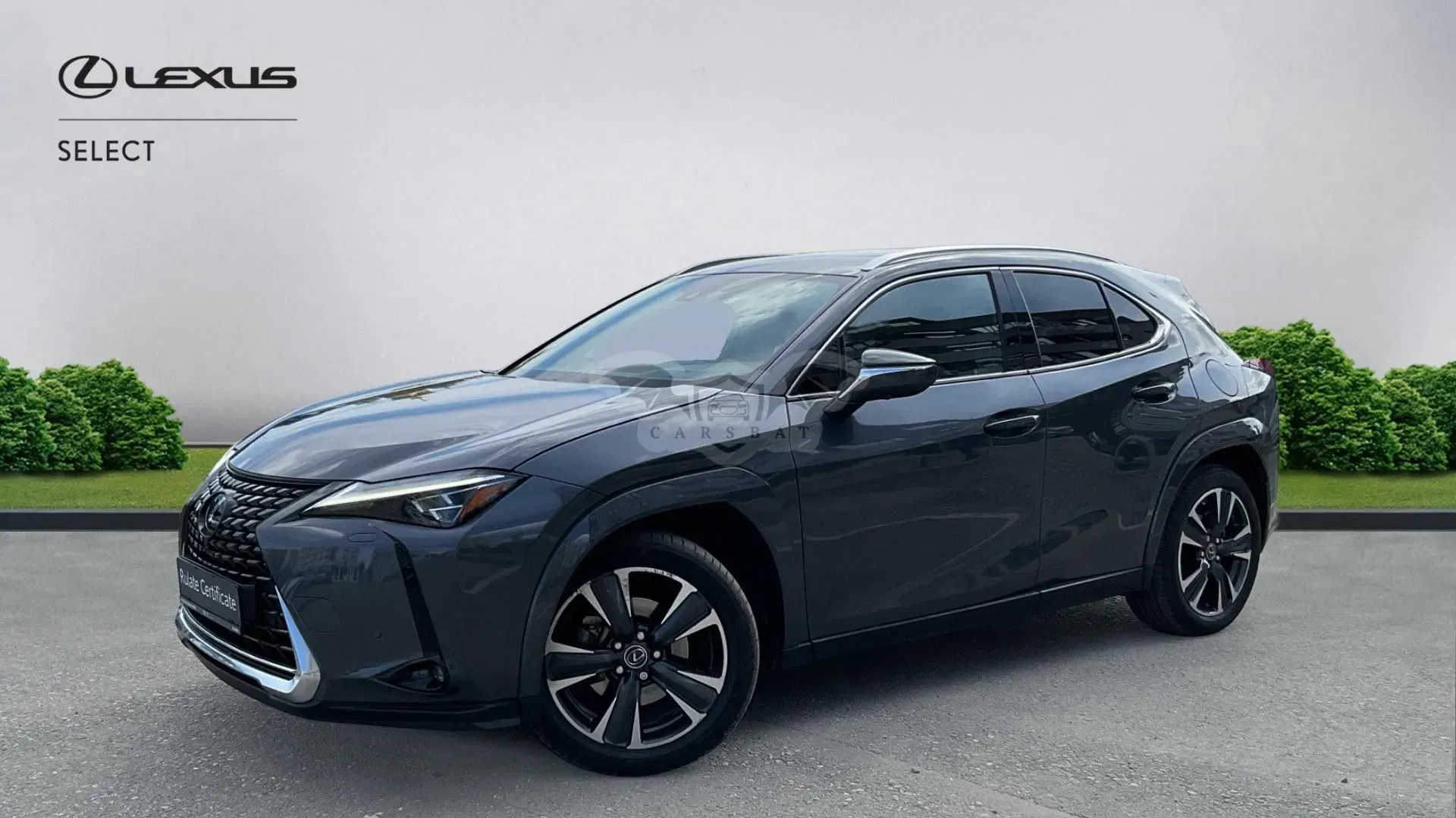 Lexus UX 250h (E-FOUR) Luxury Line 2023
