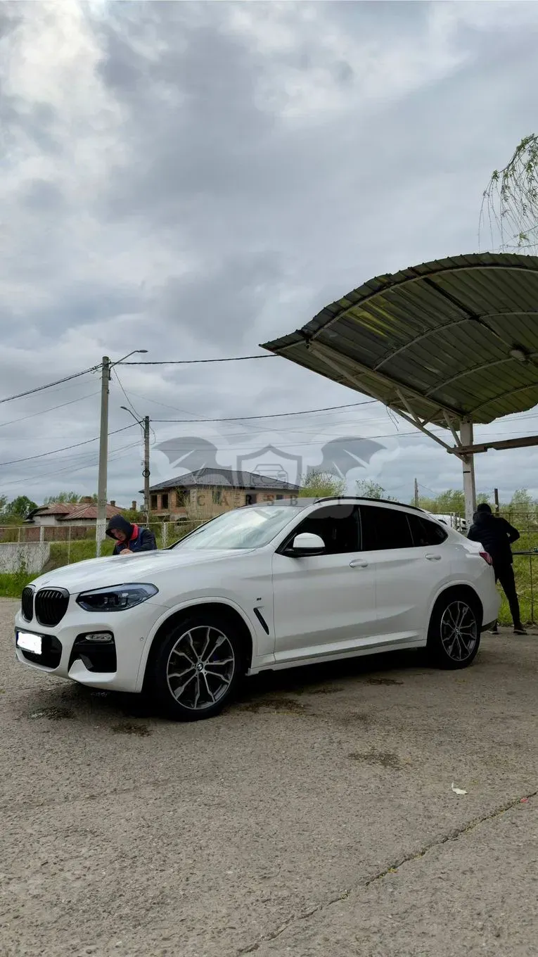 BMW X4 G02 [2018 - Prezent] xDrive20d M Sport 2019