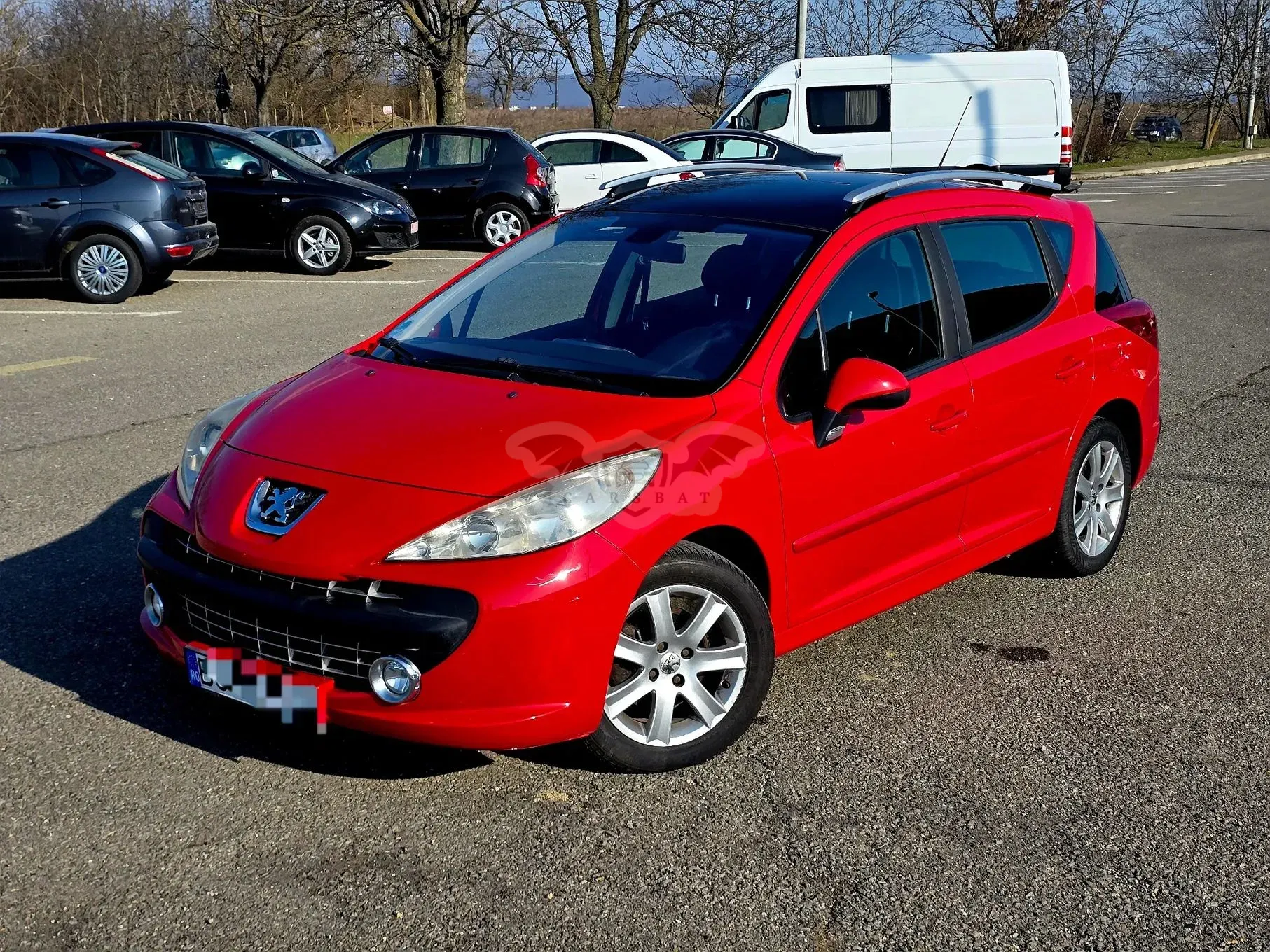 Peugeot 207 120 Premium 2009