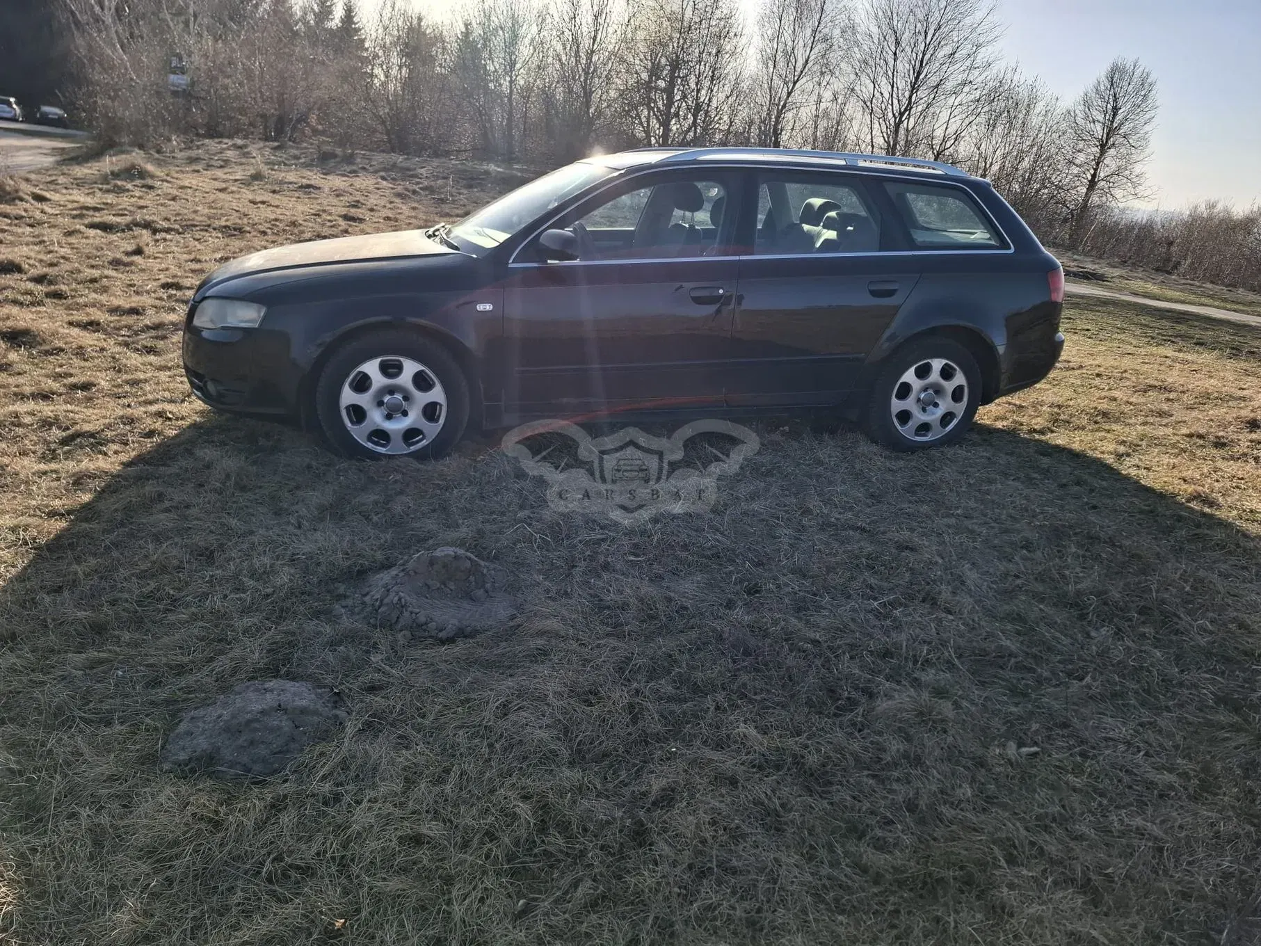 Audi A4 B7 [2004 - 2008] 2.0 TDI 2006