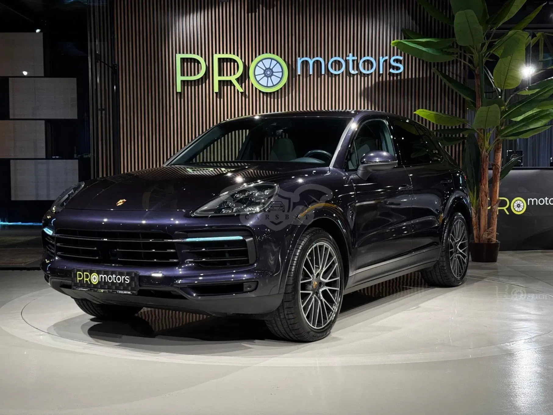 Porsche Cayenne Standard 2019