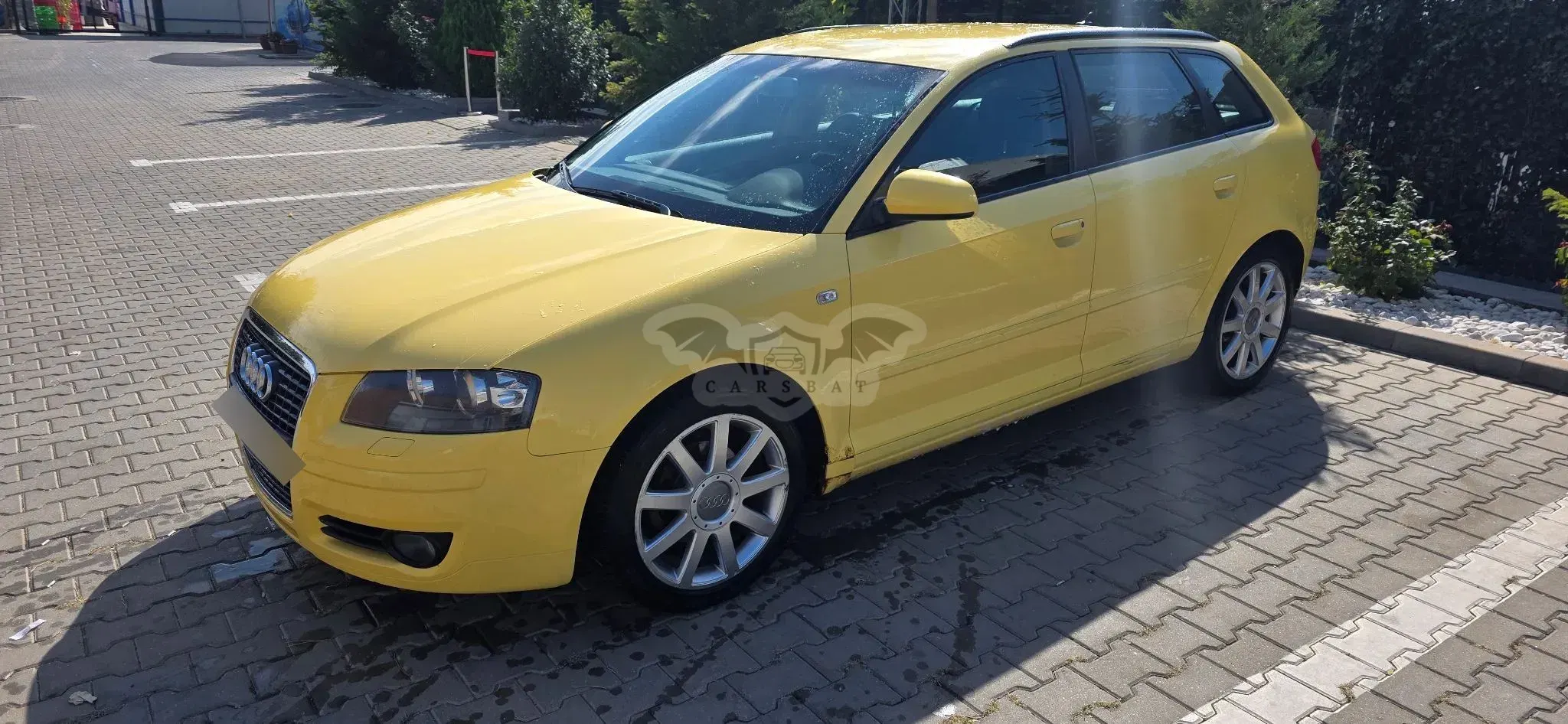 Audi A3 8P [2003 - 2013] ack 1.9 TDI Attraction 2005