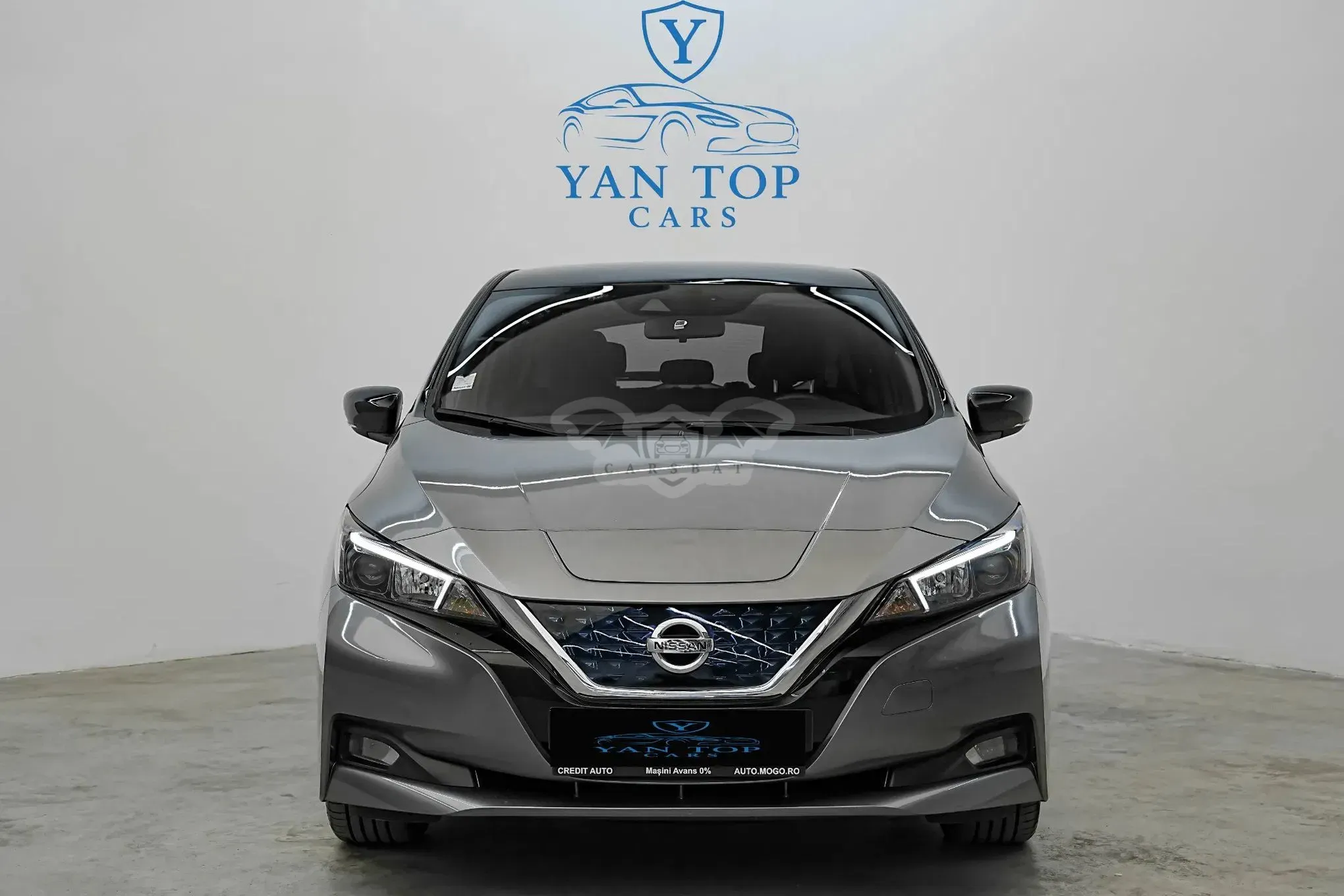 Nissan Leaf II [2017 - Prezent] 2021