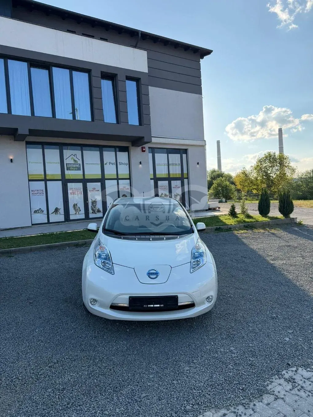 Nissan Leaf 24 kWh (ohne Batterie) Visia + 2013