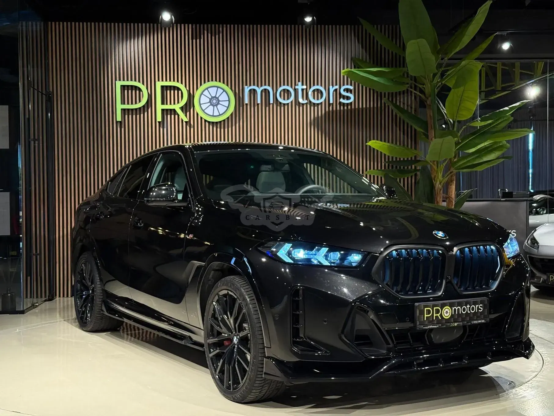 BMW X6 G06 [2019 - Prezent] xDrive30d AT MHEV 2024