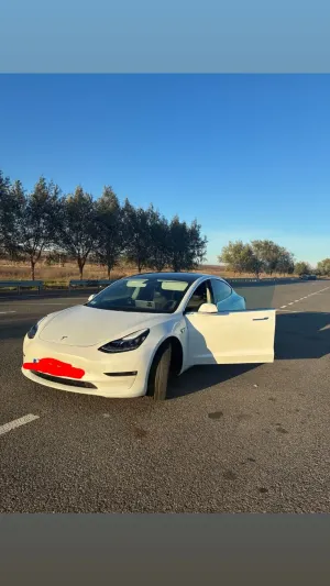 Tesla Model 3 2020