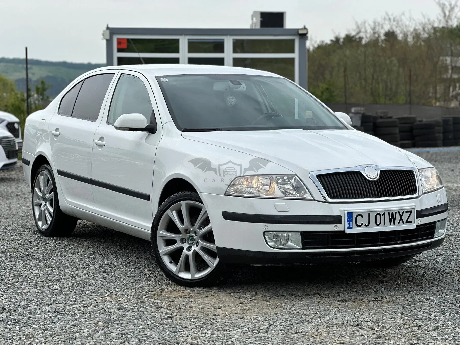 Skoda Octavia II [2004 - 2013] 1.9 TDI Business DSG 2008