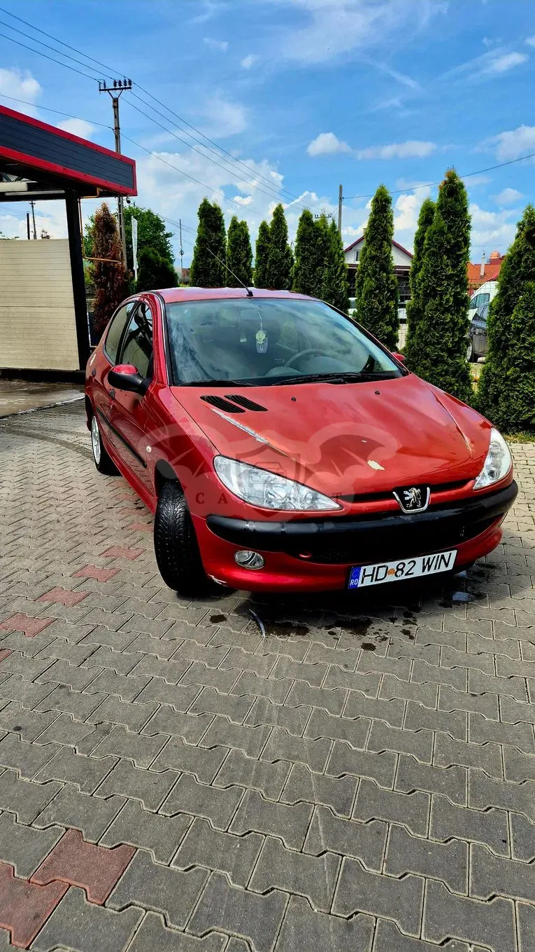 Peugeot 206 2007