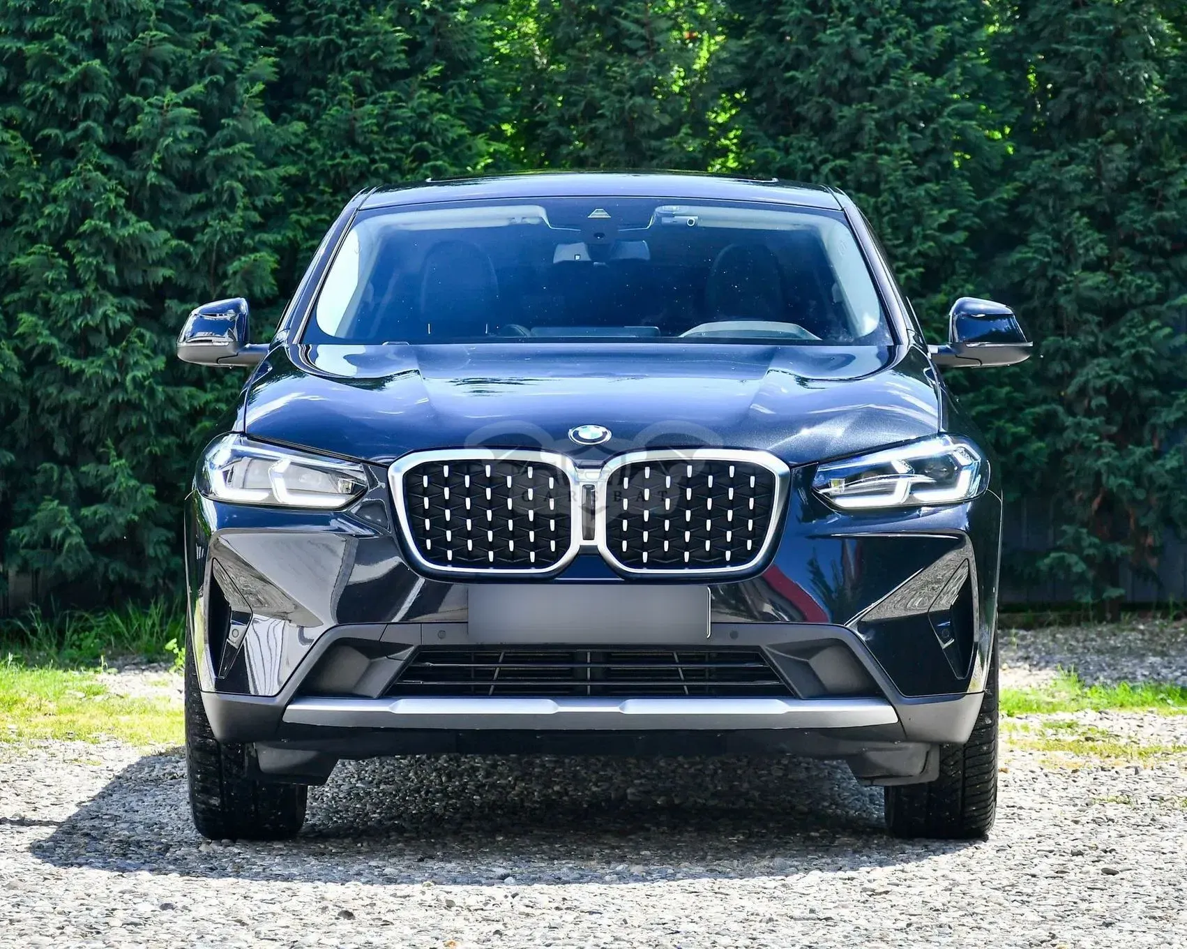 BMW X4 G02 [2018 - Prezent] xDrive30i Aut. 2021