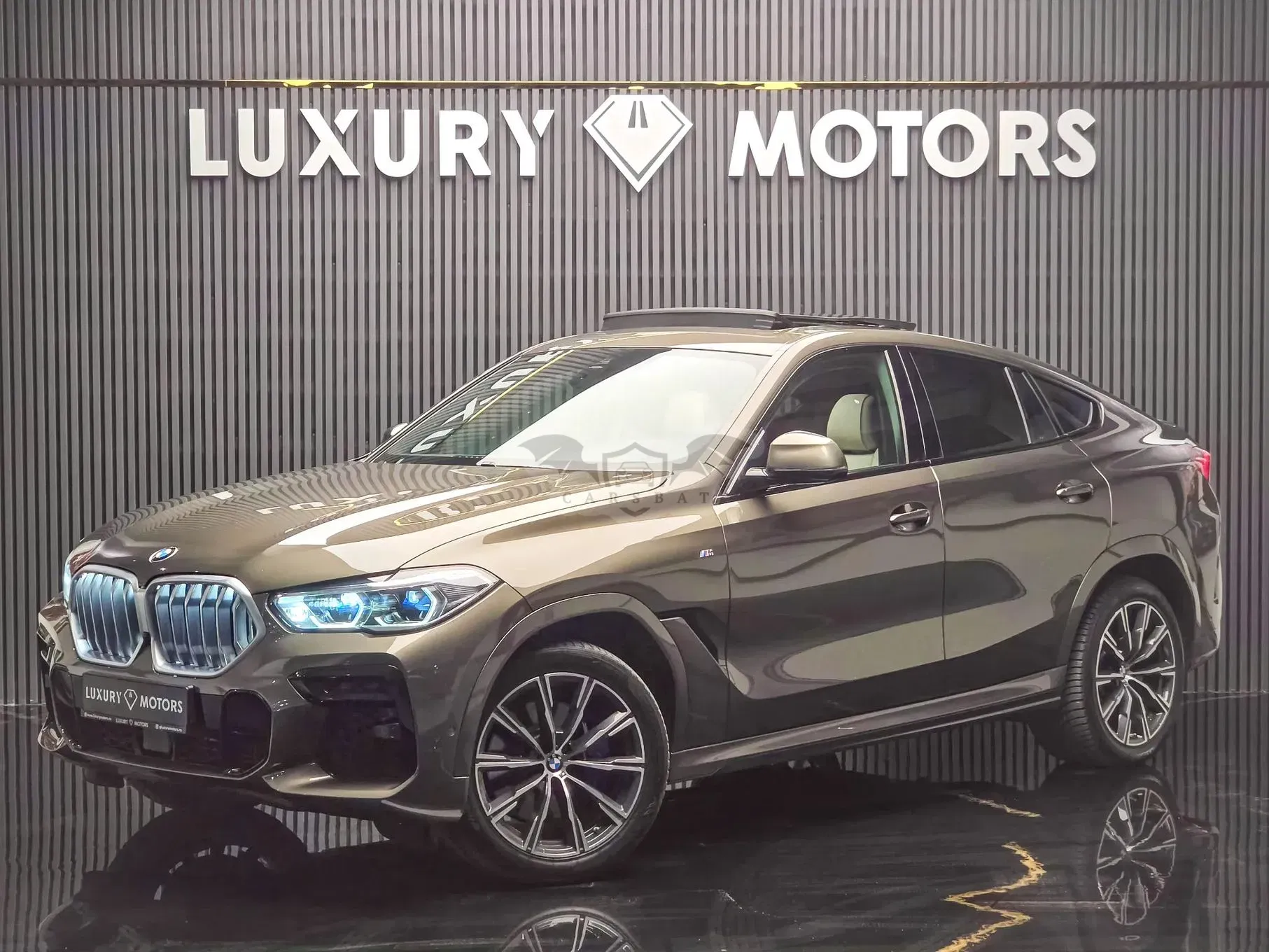 BMW X6 G06 [2019 - Prezent] xDrive30d 2022