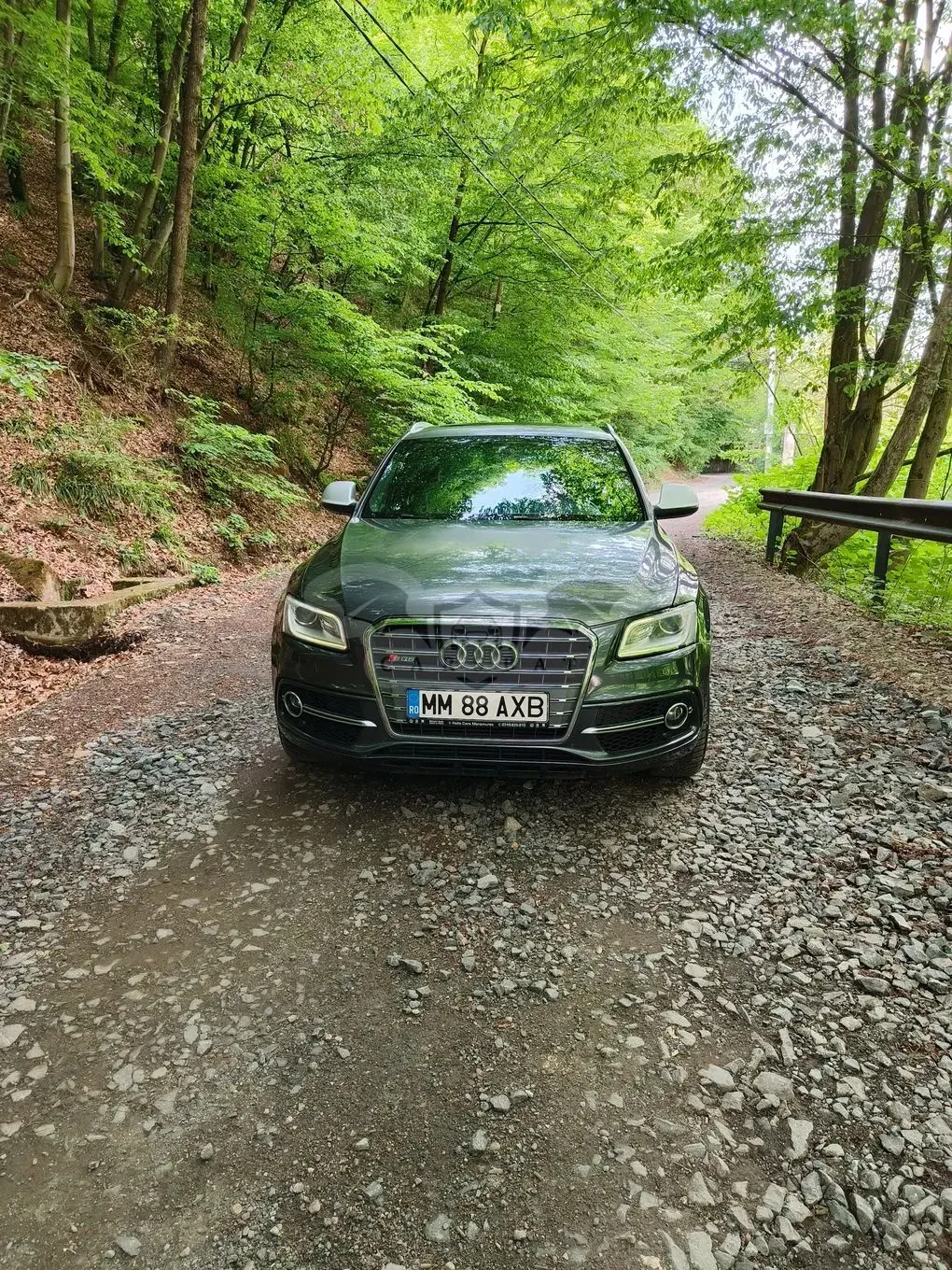 Audi SQ5 8R [2013 - 2017] 3.0 TDI Biturbo Tiptronic 2014