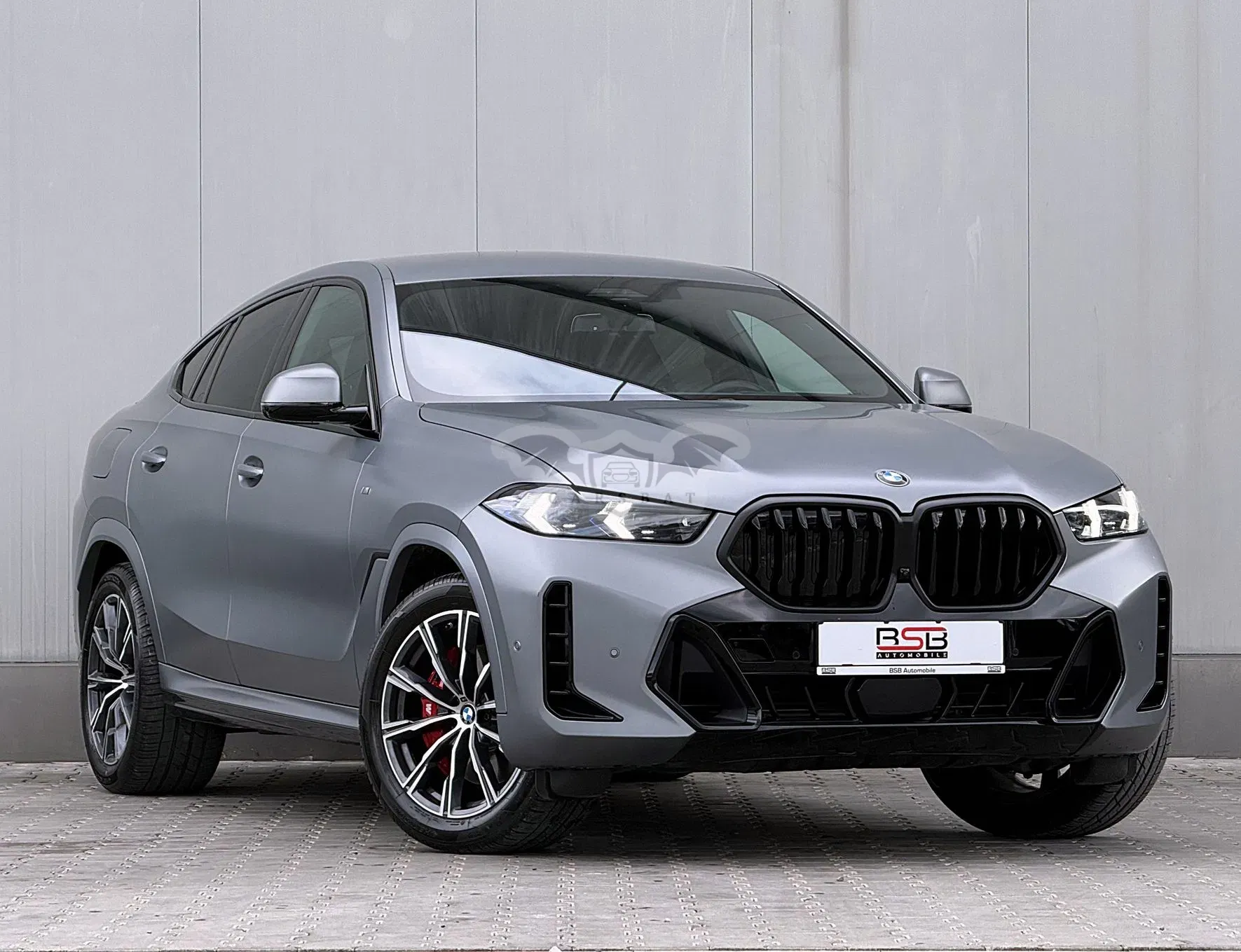 BMW X6 G06 [2019 - Prezent] xDrive30d AT MHEV 2024