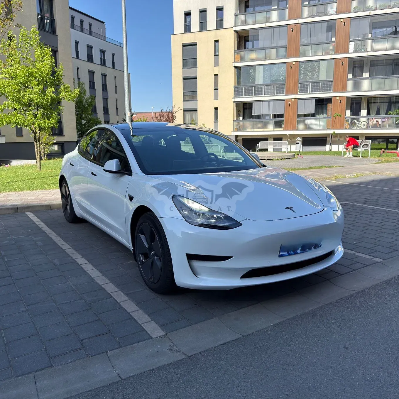 Tesla Model 3 Standard Reichweite Plus Hinterradantrieb 2021