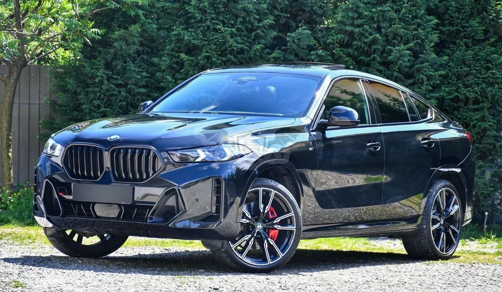 BMW X6 G06 [2019 - Prezent] xDrive30d AT MHEV 2023