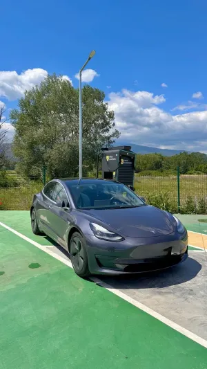 Tesla Model 3 2019