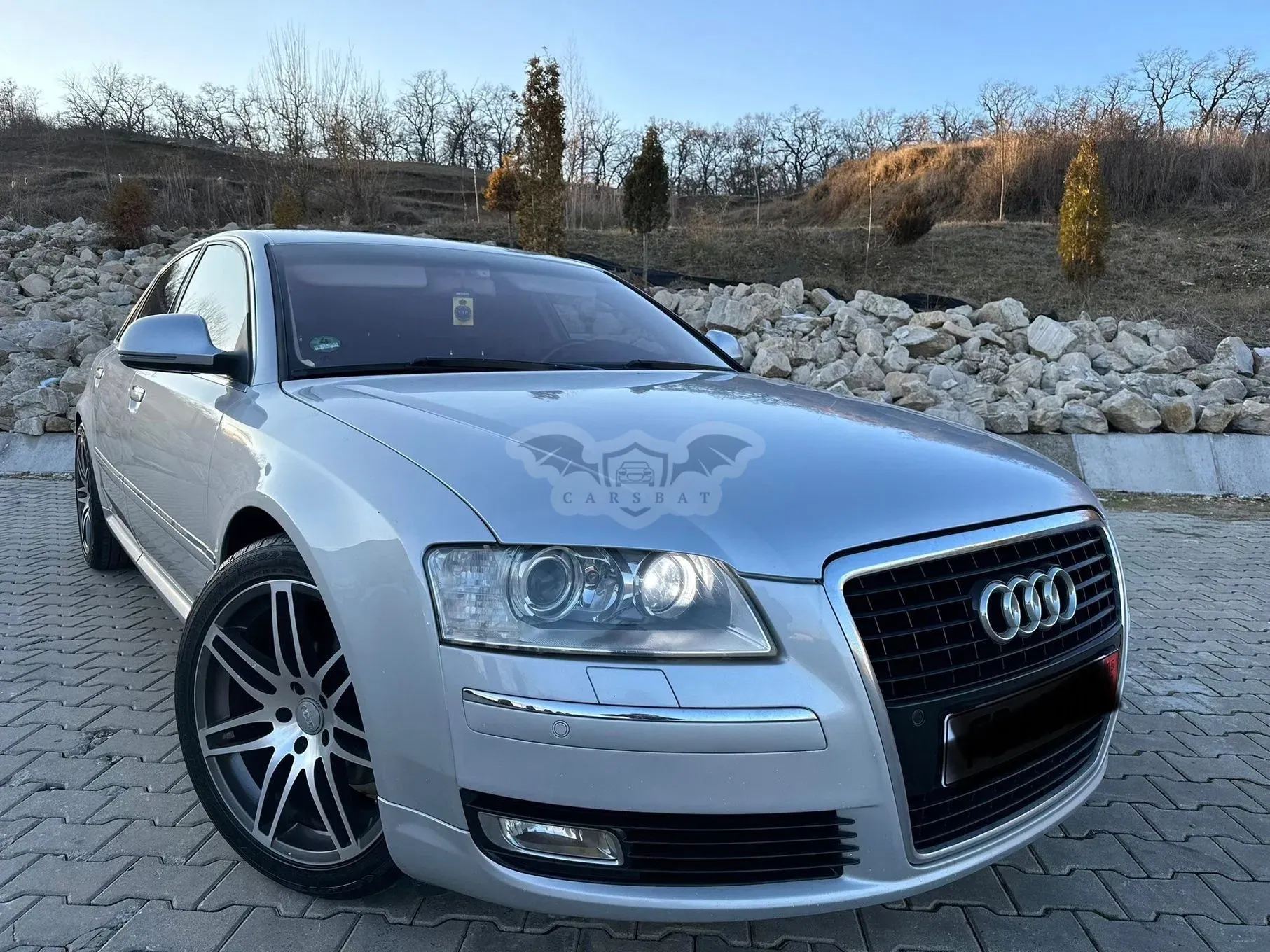 Audi A8 D3 [2002 - 2010] 2010