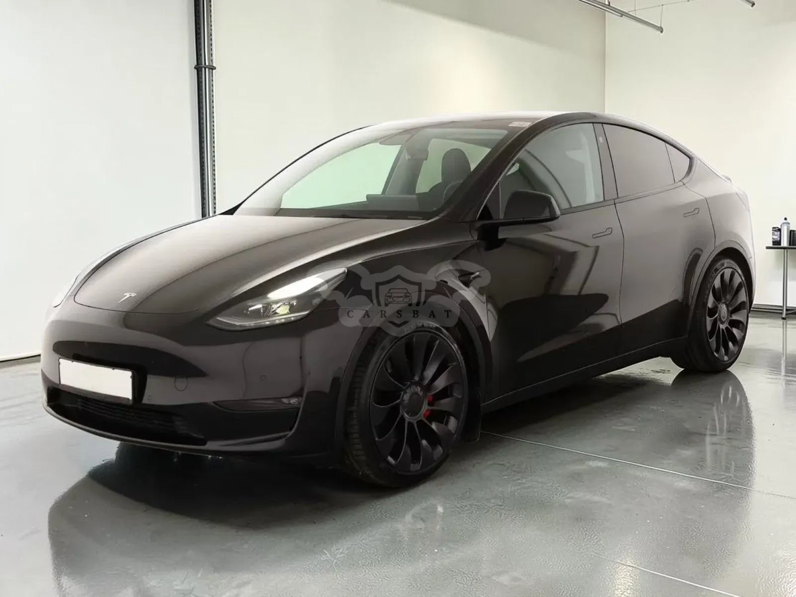 Tesla Model Y Performance Dual Motor AWD 2023