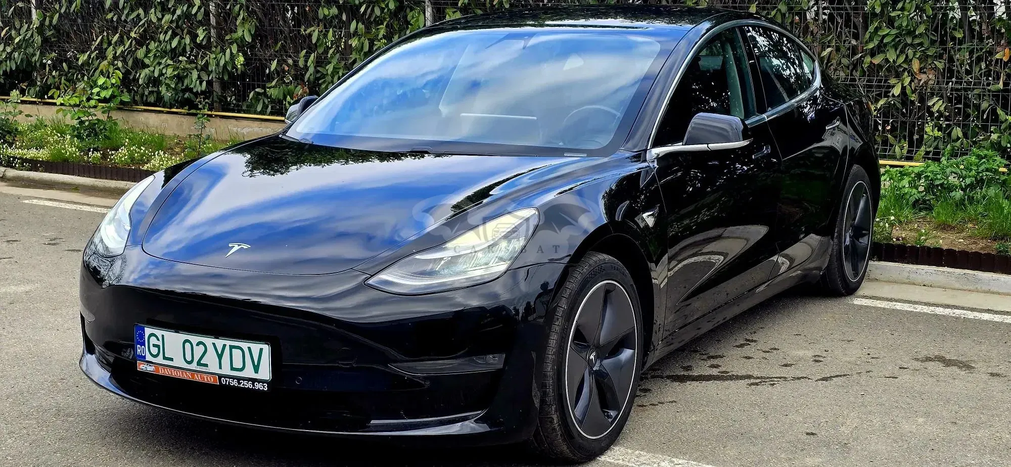 Tesla Model 3 2019
