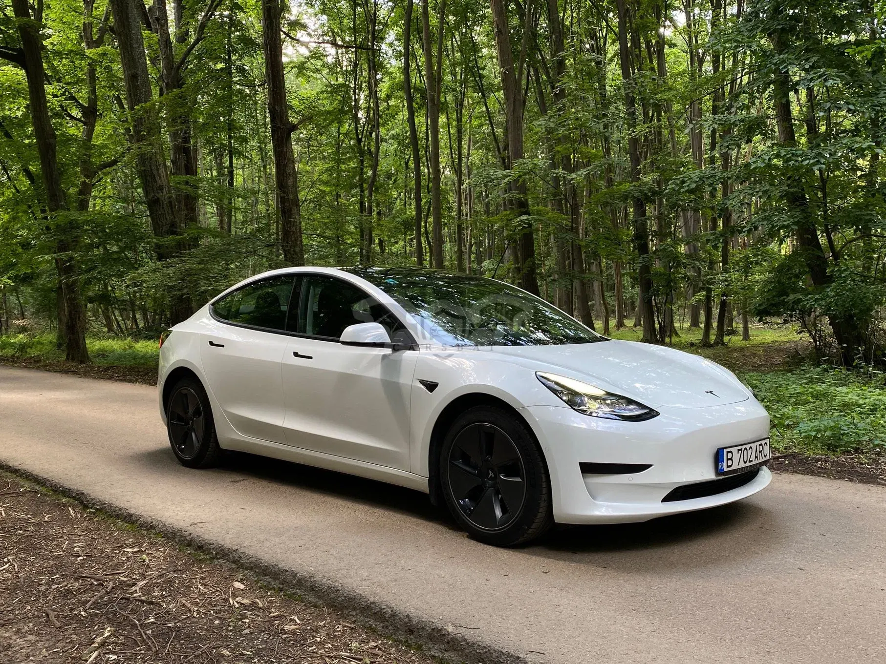 Tesla Model 3 2021
