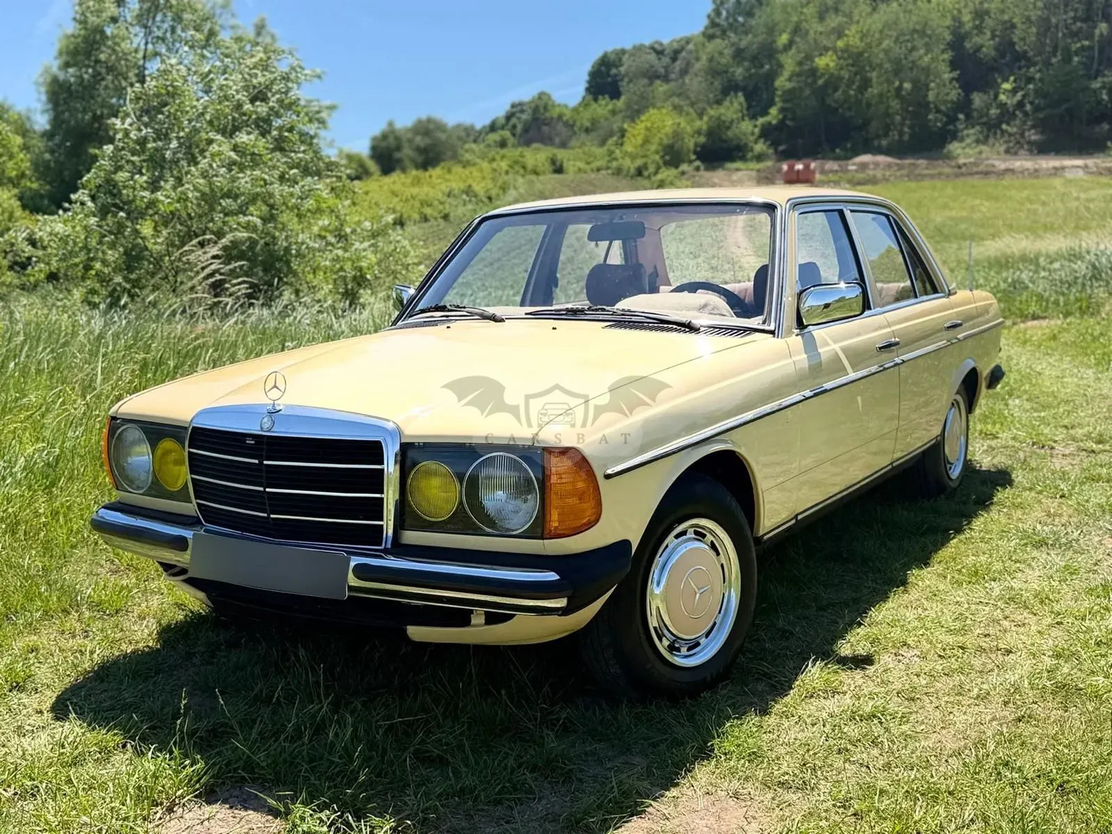 Mercedes-Benz E 1982