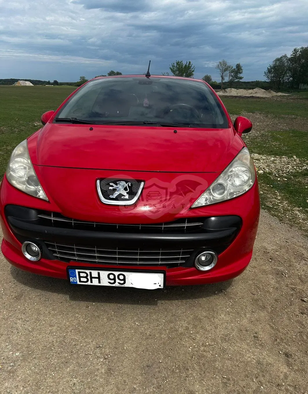 Peugeot 207 2007