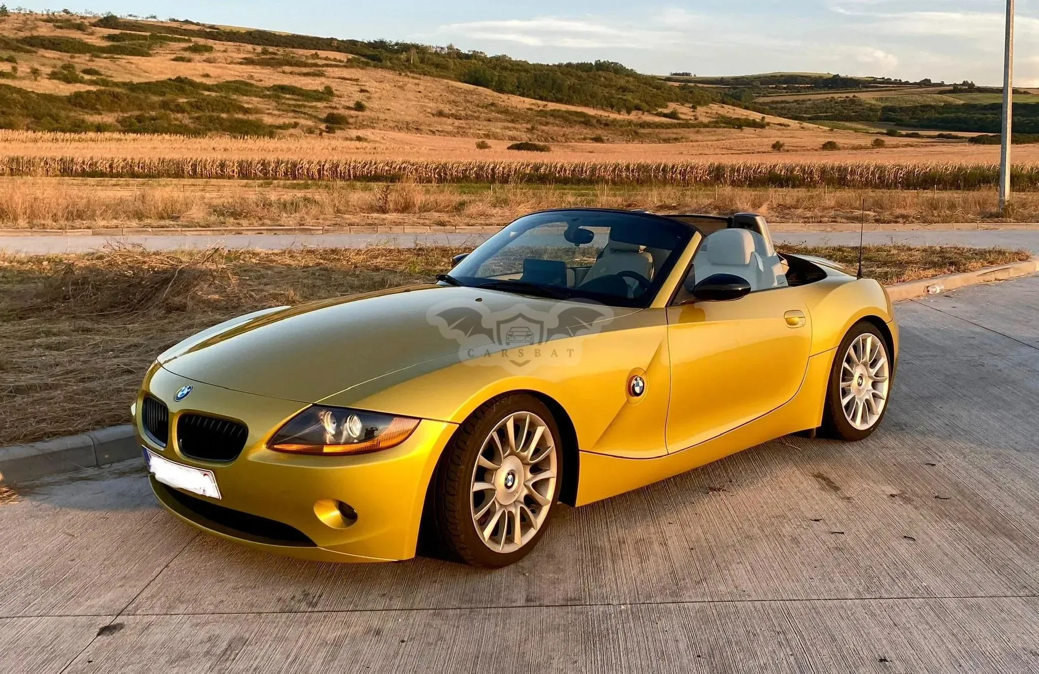 BMW Z4 E85/E86 [2002 - 2008] 2005