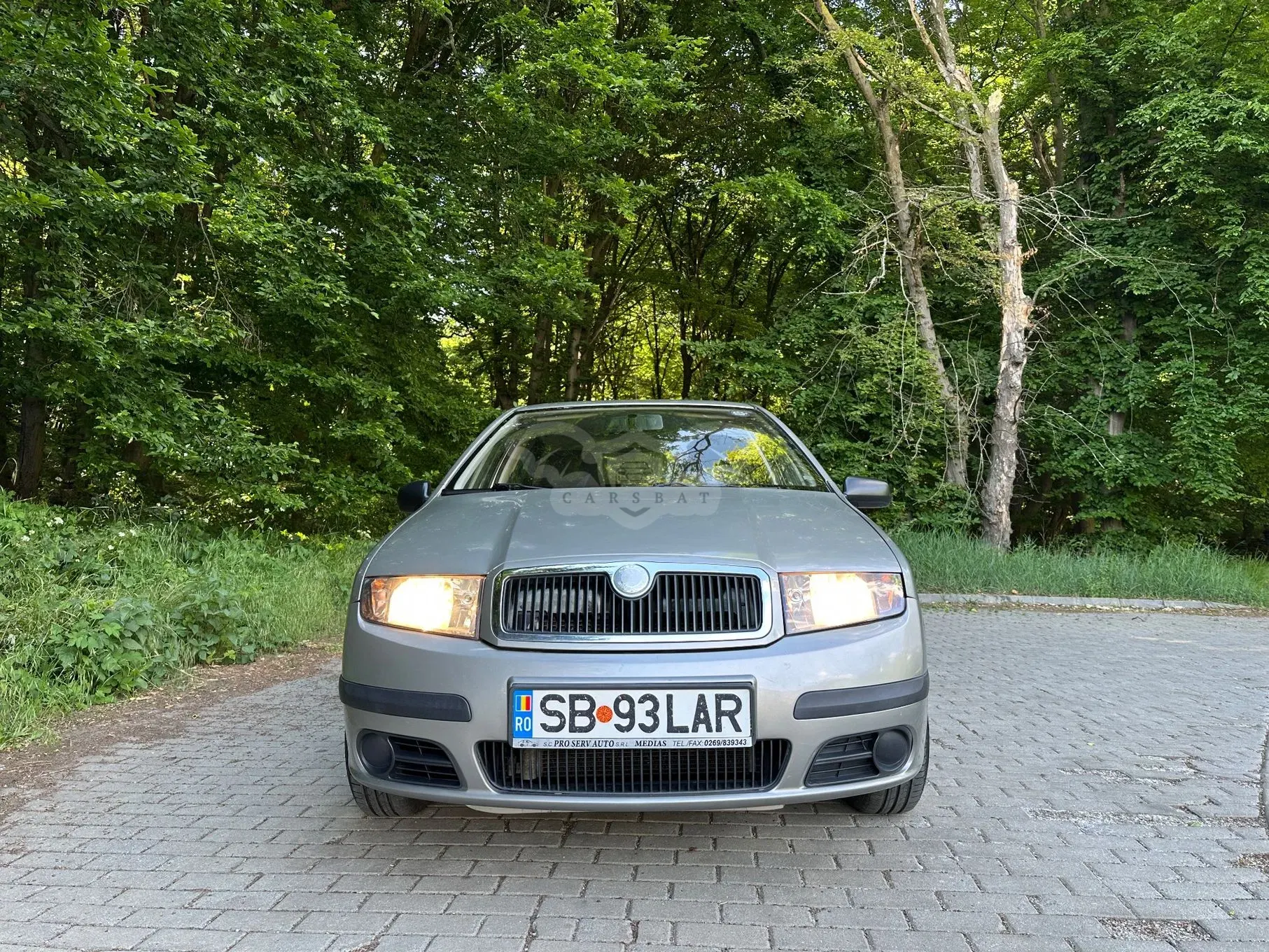 Skoda Fabia I [1999 - 2007] 2006