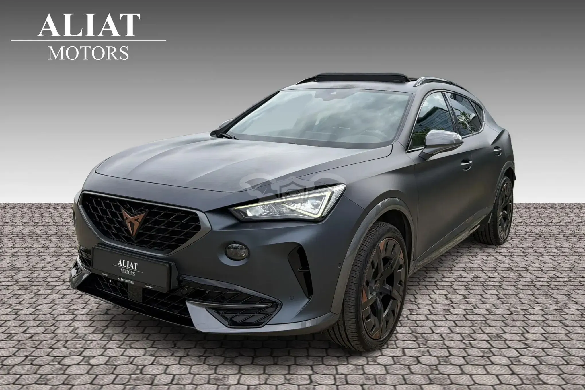 Cupra Formentor VZ 2.0 TSI 4DRIVE DSG 2021