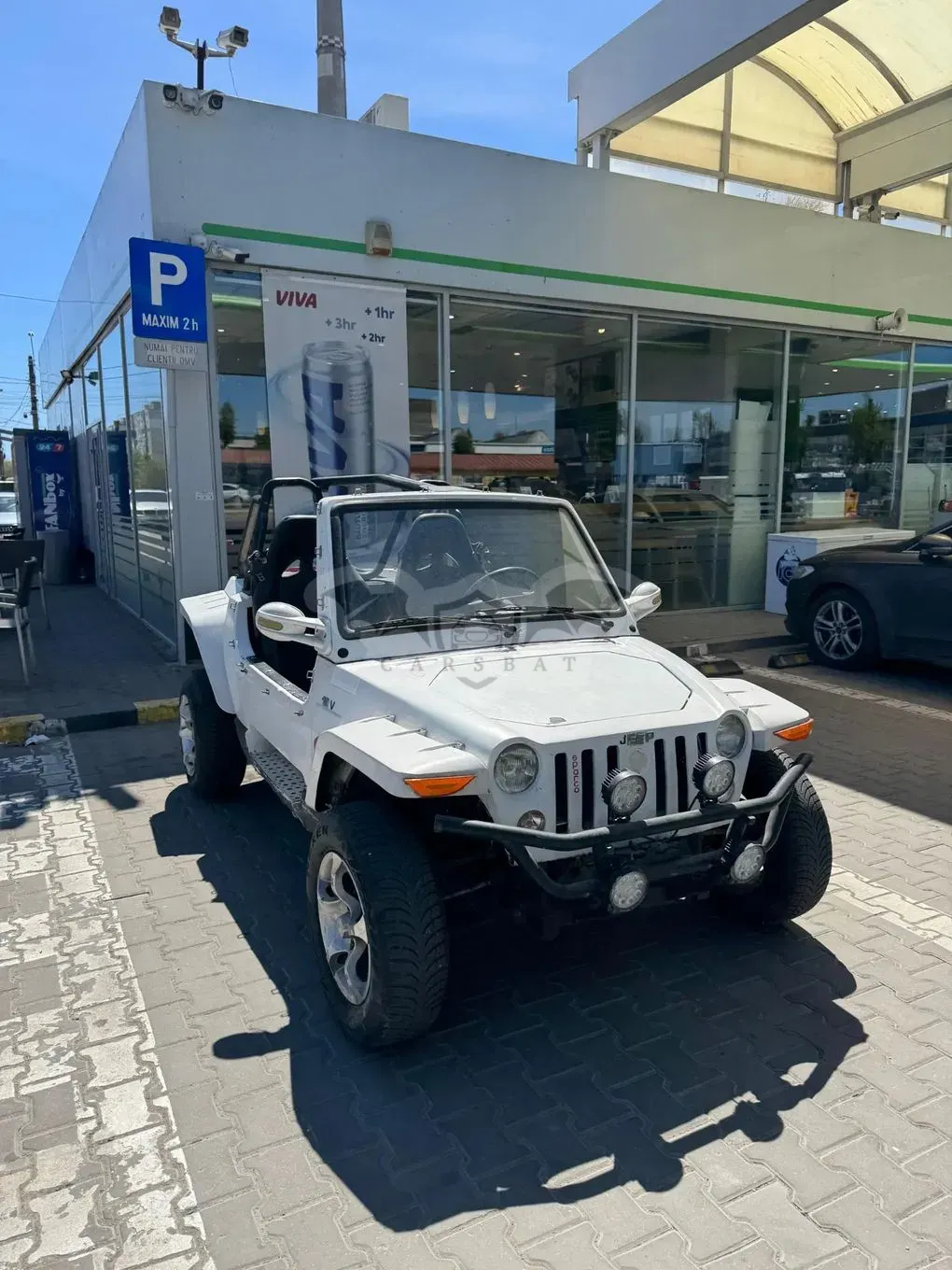 Microcar Altele 2013