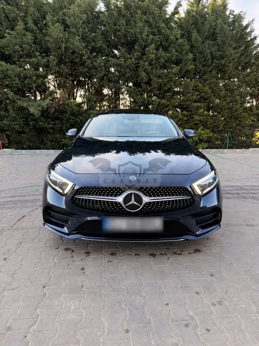 Mercedes-Benz CLS C257 [2018 - Prezent] 350 d 4MATIC Aut 2019