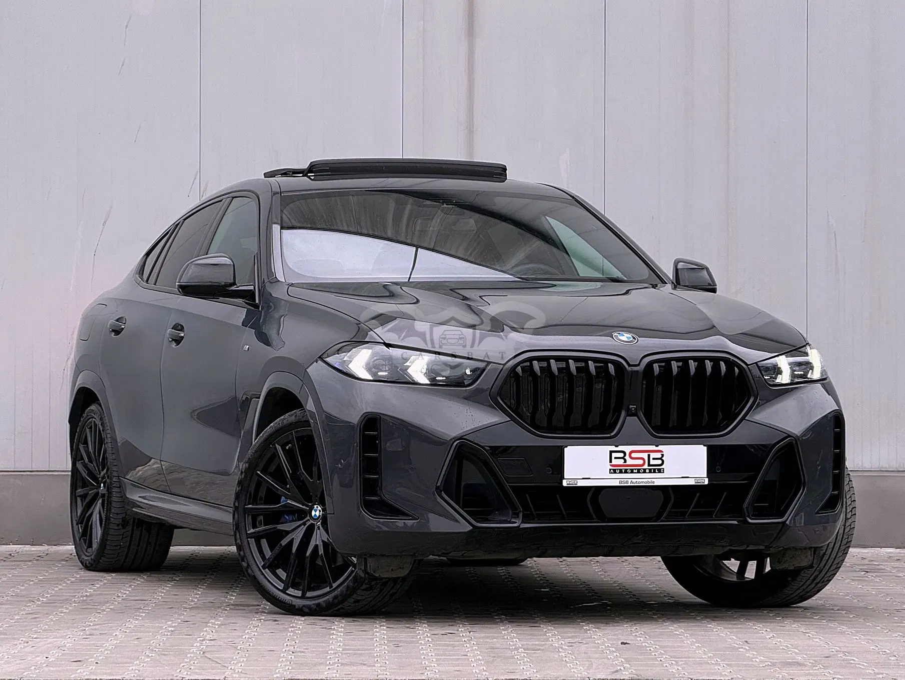 BMW X6 G06 [2019 - Prezent] xDrive30d AT MHEV 2024