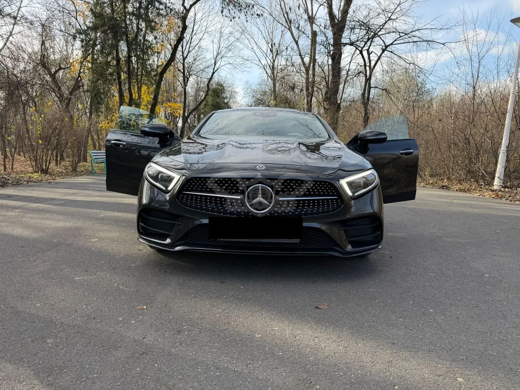 Mercedes-Benz CLS C257 [2018 - Prezent] 2021