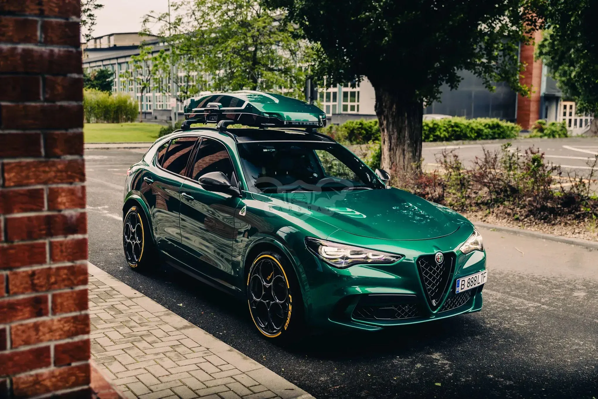 Alfa Romeo Stelvio 2.9 V6 Turbo AWD AT8 Quadrifoglio 2024