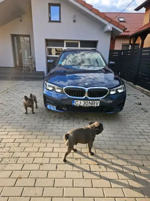 BMW 3 Series G20/G21 [2018 - Prezent] 320i xDrive AT 2021
