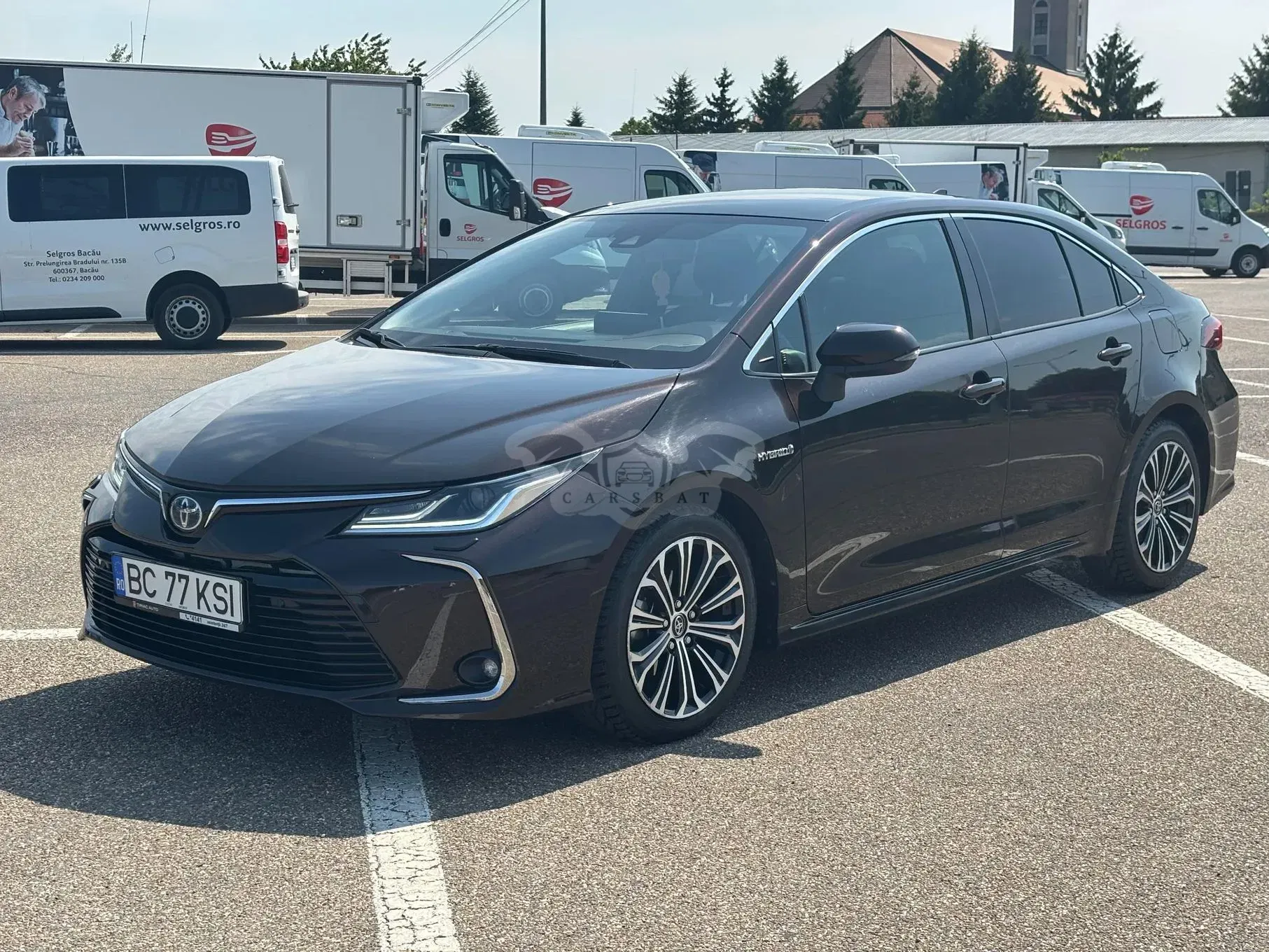 Toyota Corolla XII [2020 - Prezent] 2019