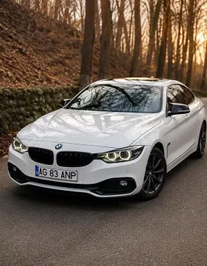 BMW 4 Series 420i Aut. Sport Line 2019