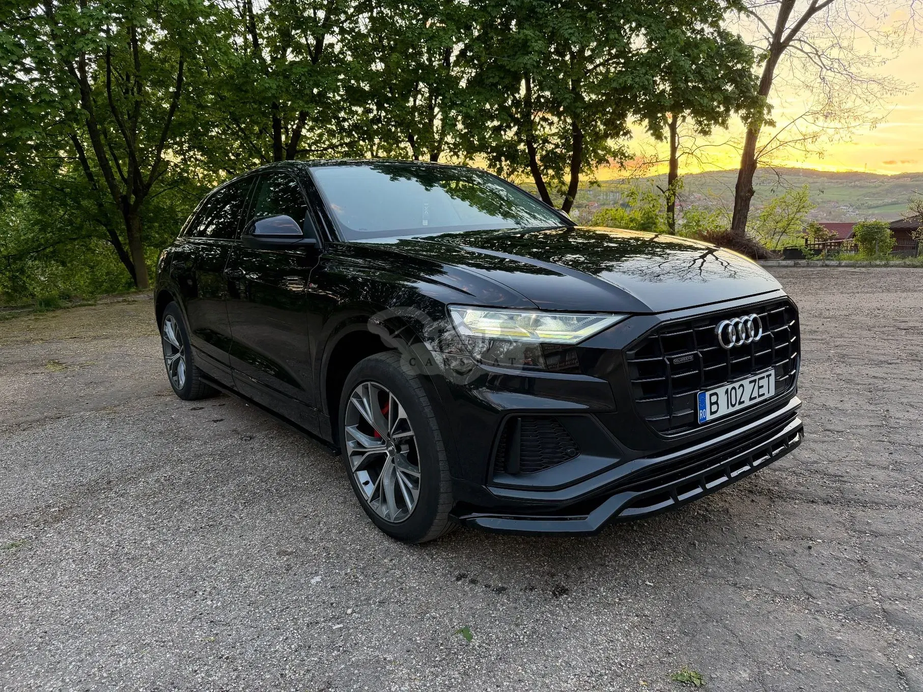 Audi Q8 3.0 50 TDI quattro Tiptronic MHEV 2019