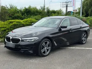 BMW 5 Series G30/G31 [2017 - 2023] 520d AT MHEV 2020