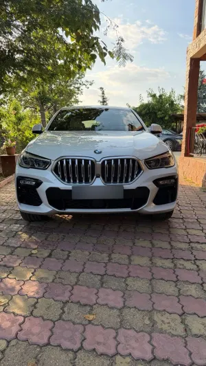 BMW X6 G06 [2019 - Prezent] xDrive40d AT MHEV 2021