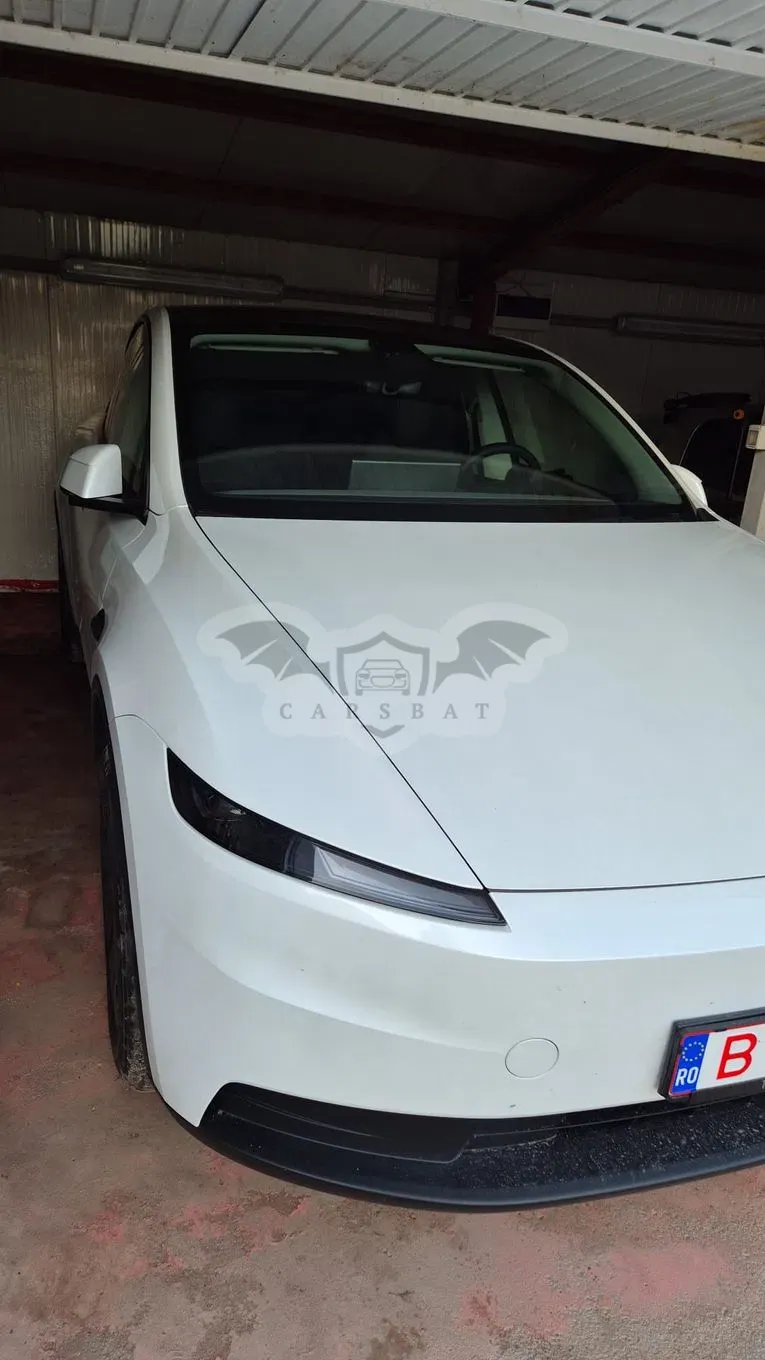 Tesla Model Y Long Range RWD Standard 2026