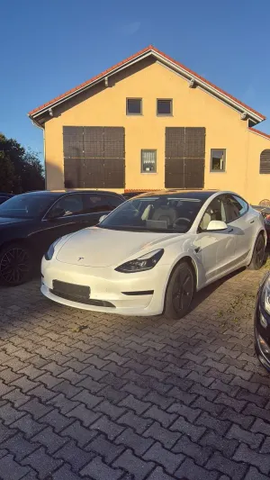 Tesla Model 3 Standard 2021
