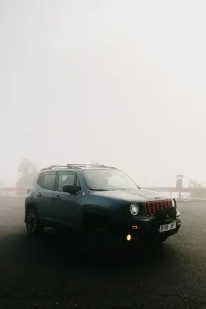 Jeep Renegade 2.0 M-Jet 4x4 Low AT9 Trailhawk 2017